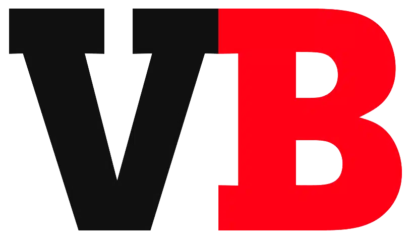 VB Logo